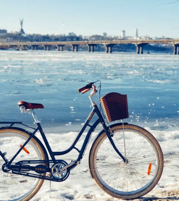 coral-dorozhnik-8951478521