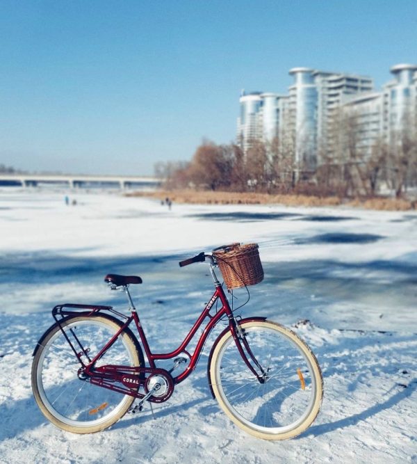 coral-dorozhnik-8951478524