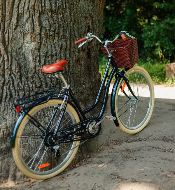 coral-dorozhnik-8951478526