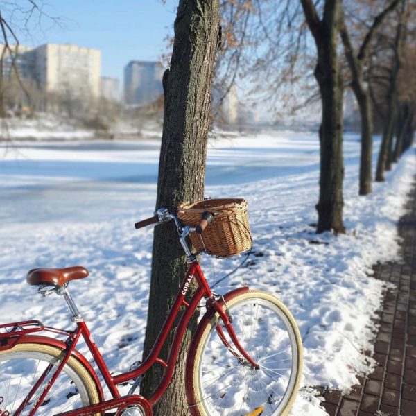 coral-dorozhnik-8951478529