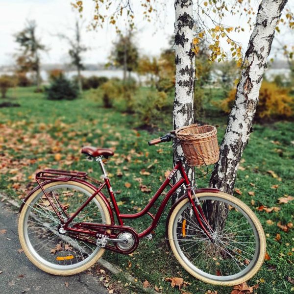 coral-dorozhnik-8951478530