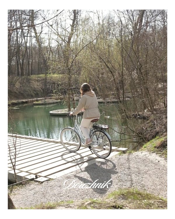 Dorozhnik-eretro-6581456956