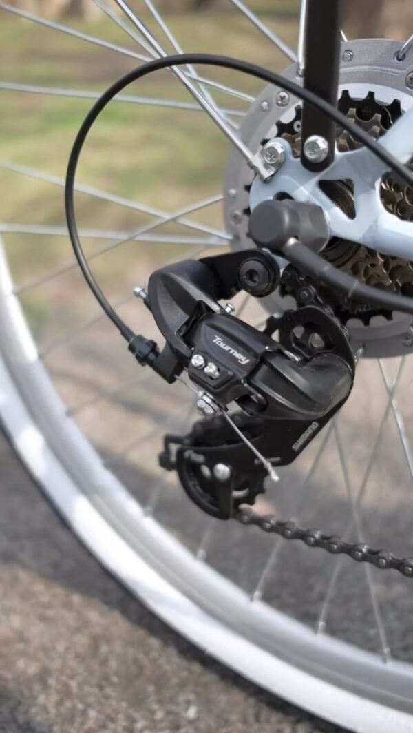 Dorozhnik-eretro-6581456966