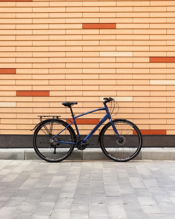 dorozhnik-granat-rybe