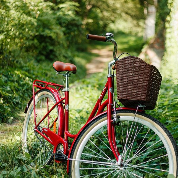 Dorozhnik-retro-12354516