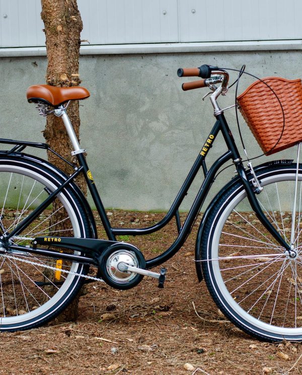 Dorozhnik-retro-123545261