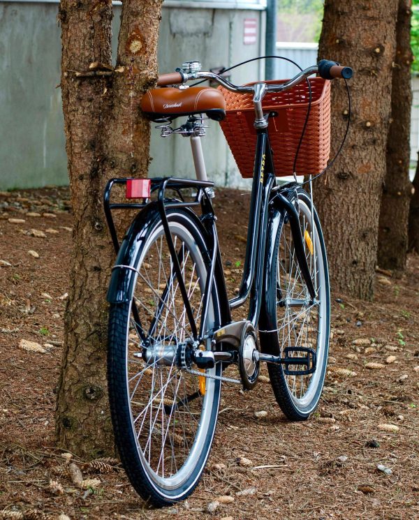 Dorozhnik-retro-123545263