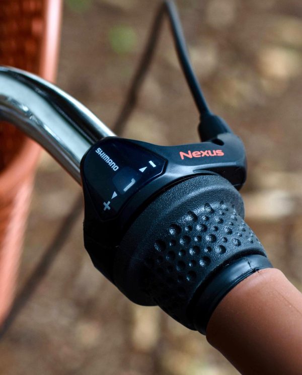 Dorozhnik-retro-123545264