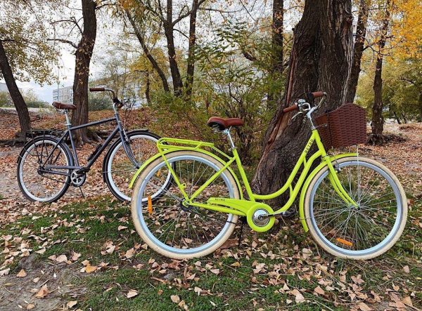 Dorozhnik-retro-1235452677