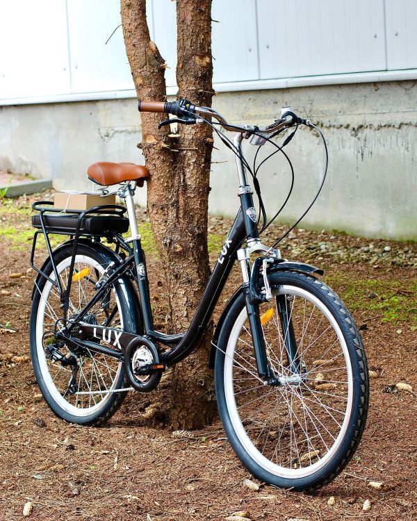 e-Lux-dorozhnik-12568981