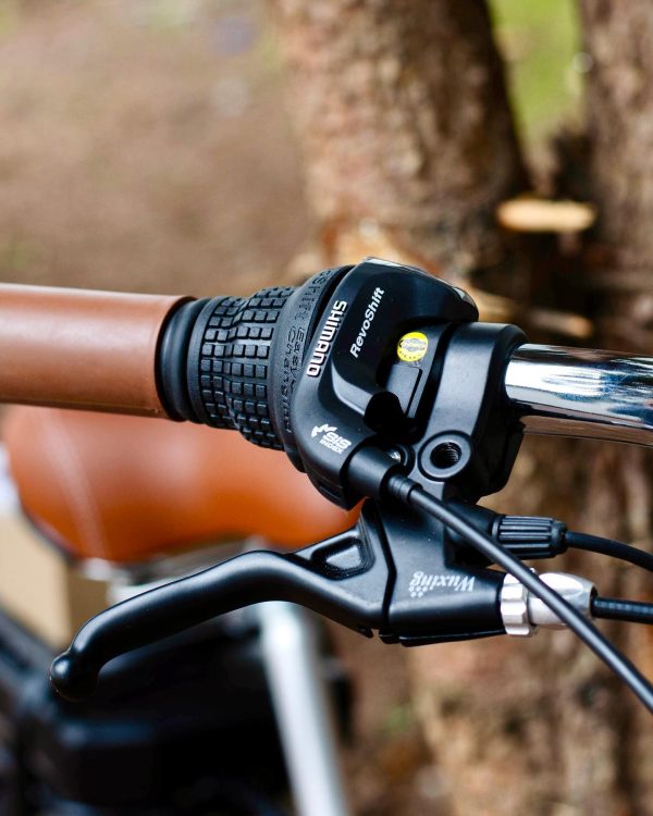 e-Lux-dorozhnik-12568982