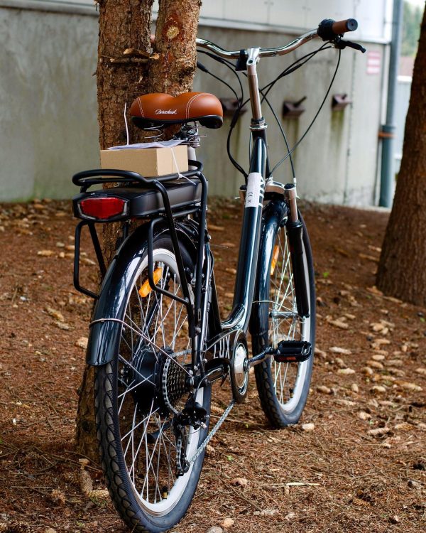 e-Lux-dorozhnik-12568985