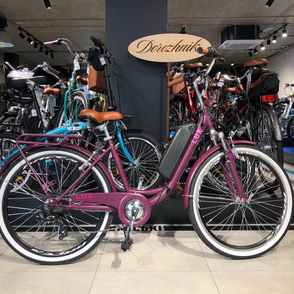 e-Lux-dorozhnik-12568988