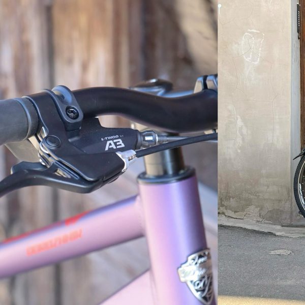 Granat-dorozhnik-1548761356