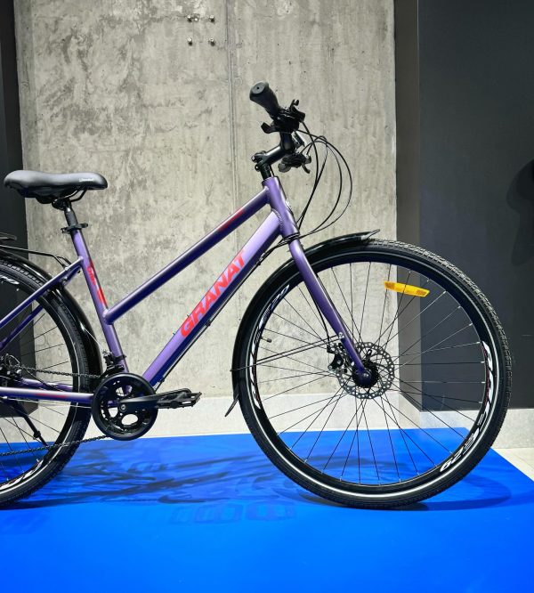 Granat-dorozhnik-1548761360