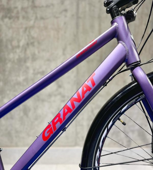 Granat-dorozhnik-1548761362