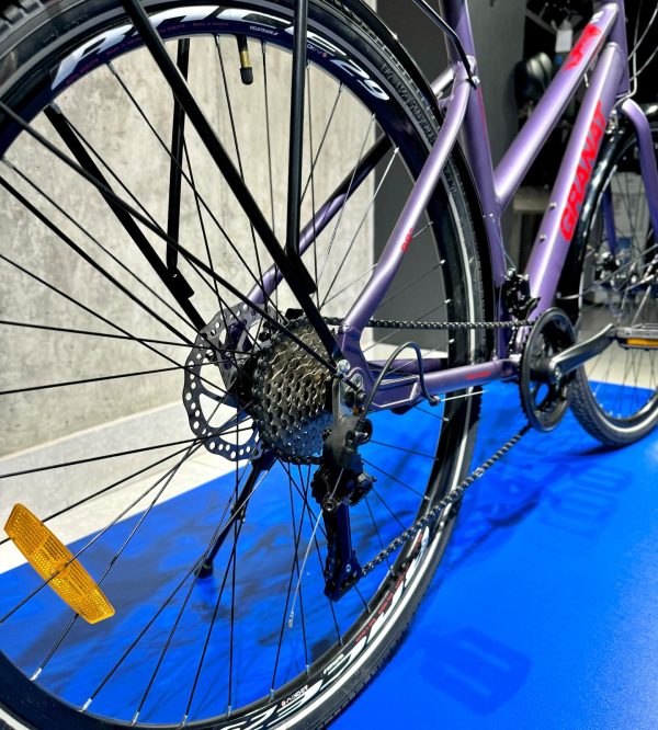 Granat-dorozhnik-1548761363