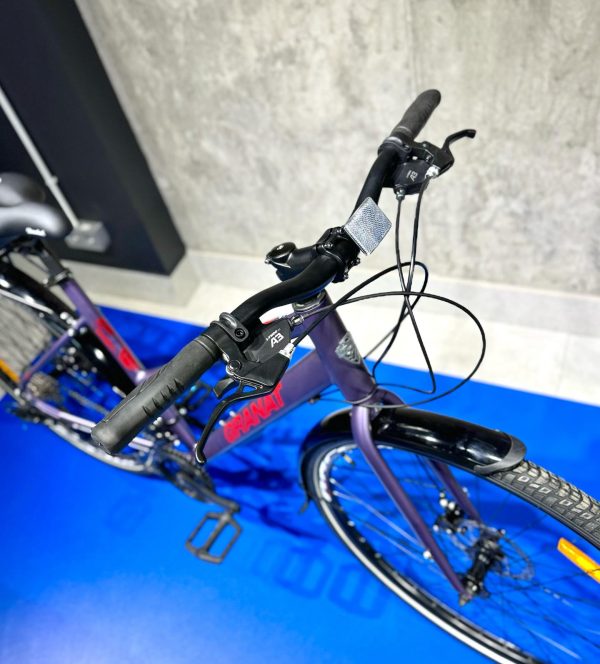 Granat-dorozhnik-15487613645jpg