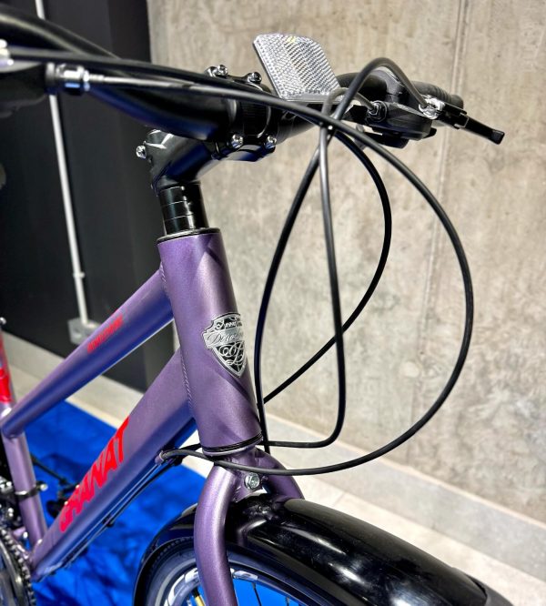 Granat-dorozhnik-15487613647