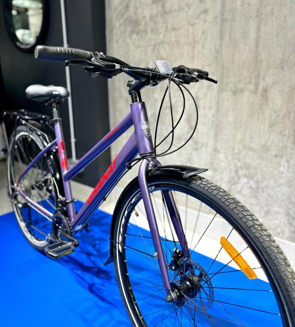 Granat-dorozhnik-15487613649