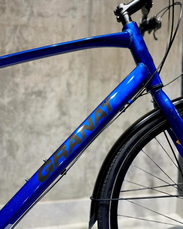 Granat-dorozhnik-921578454