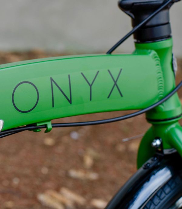 Onyx-dorozhnik-458721524