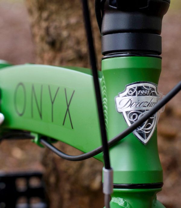 Onyx-dorozhnik-458721526