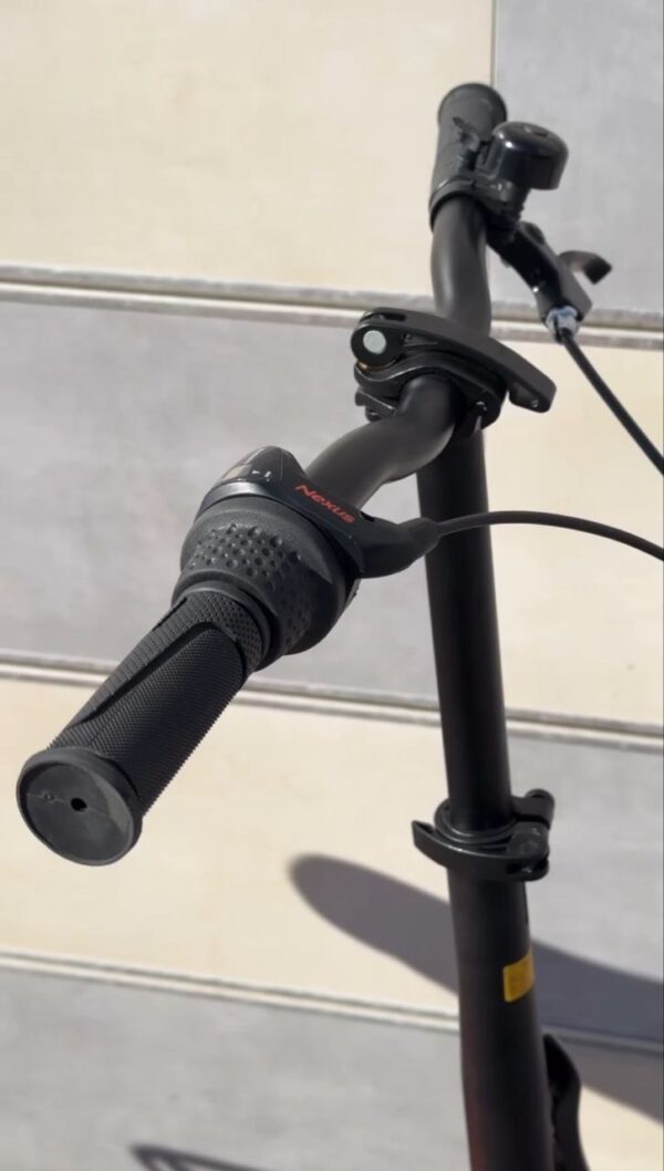 Onyx-dorozhnik-458721537