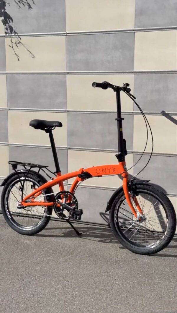 Onyx-dorozhnik-458721538