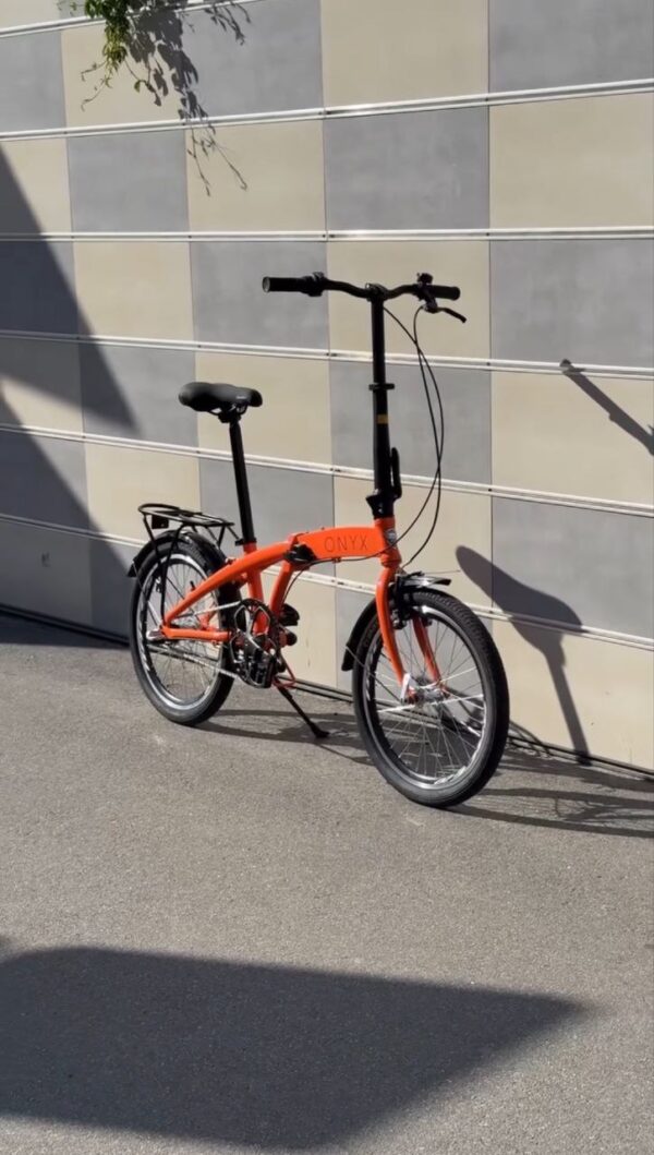 Onyx-dorozhnik-458721541