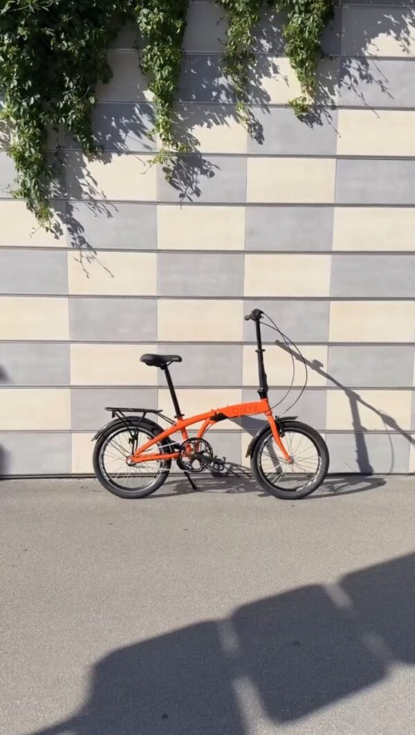 Onyx-dorozhnik-458721542