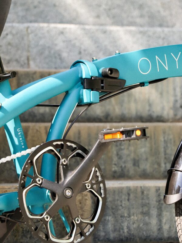 Onyx-dorozhnik-458721550